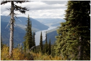 10 - Mont Revelstoke NP (14)